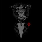 Mob_Monkey's Avatar'