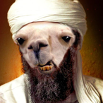 Xango_'s Avatar'