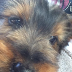 jstones.wet.tip's Avatar'