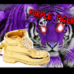PurpleT1ger's Avatar'