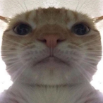 Not_Dusky's Avatar'