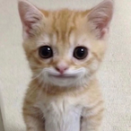 wajed.'s Avatar'