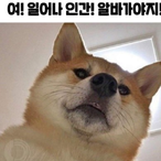 temp-50901313's Avatar'