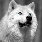 FLUF_FY's Avatar'