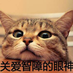 yingyuezuishuai's Avatar'