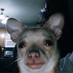 CelestialEcco2k's Avatar'