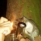 PastaEaterr's Avatar'