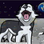 MoondogPlayz's Avatar'