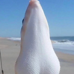 DrSheaicles's Avatar'