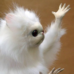 Zimothy_Zemon's Avatar'