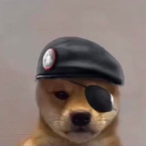 ie9bfan74's Avatar'