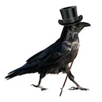 bird.with.a.hat's Avatar'