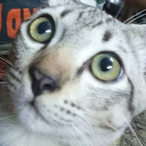 Steven7m101011's Avatar'