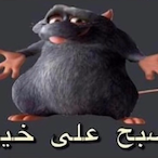 shrimpx's Avatar'