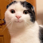 Nung_JanKoo's Avatar'