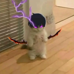 Daxwind's Avatar'