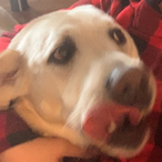 donanator132's Avatar'