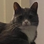 Torhgrim's Avatar'