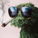 BoomerKahuna's Avatar'
