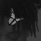 mvrz-'s Avatar'