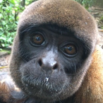 idriveagolf's Avatar'