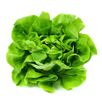 lettuce4k's Avatar'