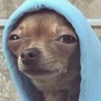 BabyFwoggy's Avatar'