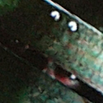 ItzNotaKlan1's Avatar'