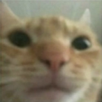 Mack25522552's Avatar'