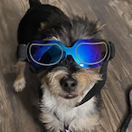 HamPowerful's Avatar'