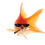 bustedinya5891's Avatar'