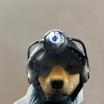 TypischReichsi's Avatar'