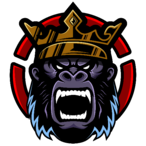 RELENTLESSxRG's Avatar