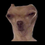 butterwarrior62's Avatar'