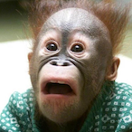 Scuba_David's Avatar'