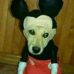 BurgerEatTaco's Avatar'