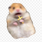 TheOGSp00k's Avatar'