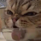 Donjuan9849's Avatar'