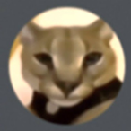 Im_Noob_TTHC's Avatar'