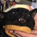 frog_couch's Avatar'
