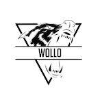 iiTsWollo.-'s Avatar'