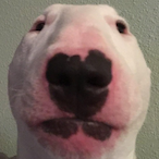 ColtTheBolt's Avatar'