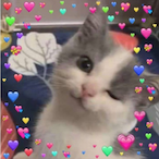 WillysTacker's Avatar'