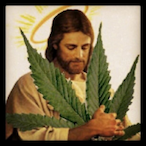 Sauce.Walker's Avatar'