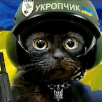 BaN293's Avatar'
