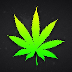 StricklyGreen56's Avatar'