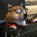 DcDaReAper0's Avatar'
