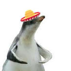 SnowyRifle's Avatar'