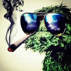 PimpinOscar's Avatar'