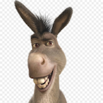 clydebot.exe's Avatar'